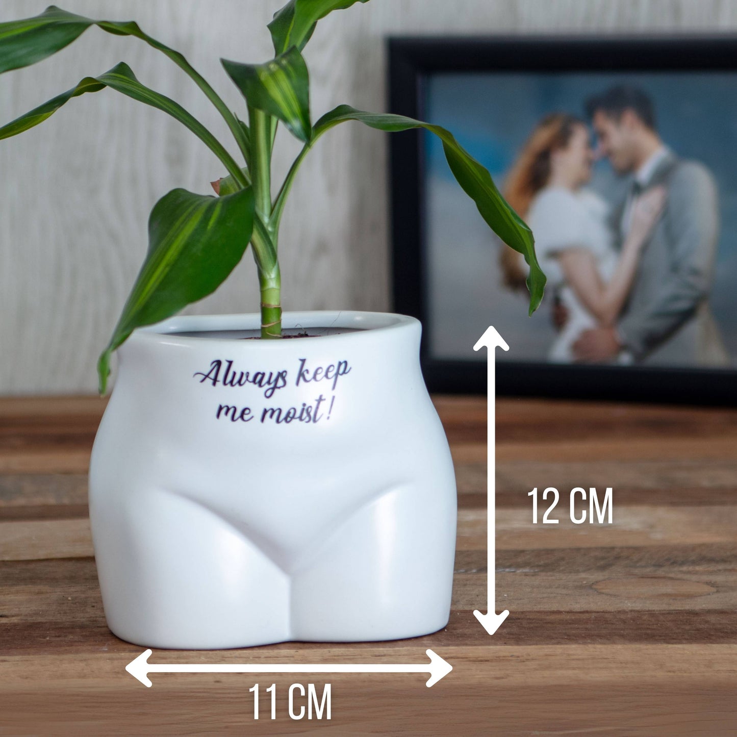 Put Some Plants On - Always Keep Me Moist