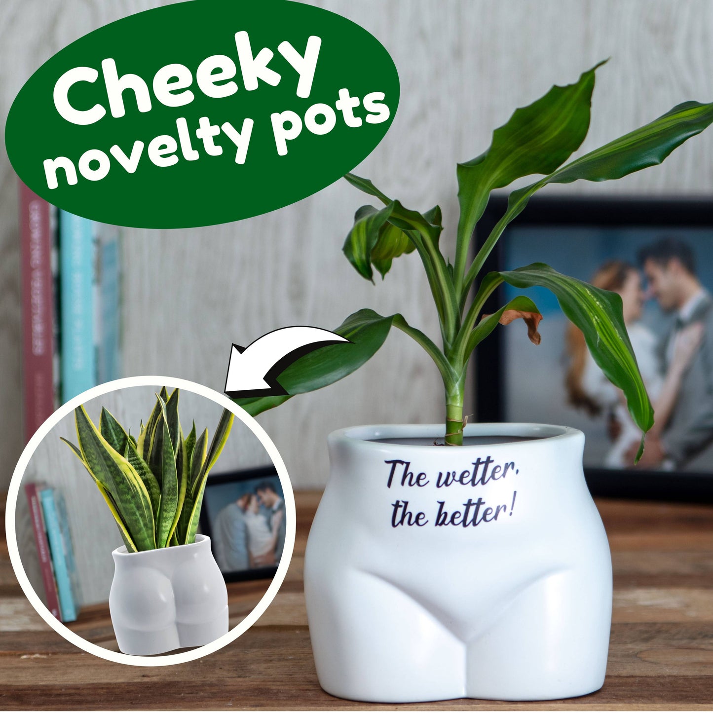 Put Some Plants On - The Wetter, The Better - Homeware Gifts