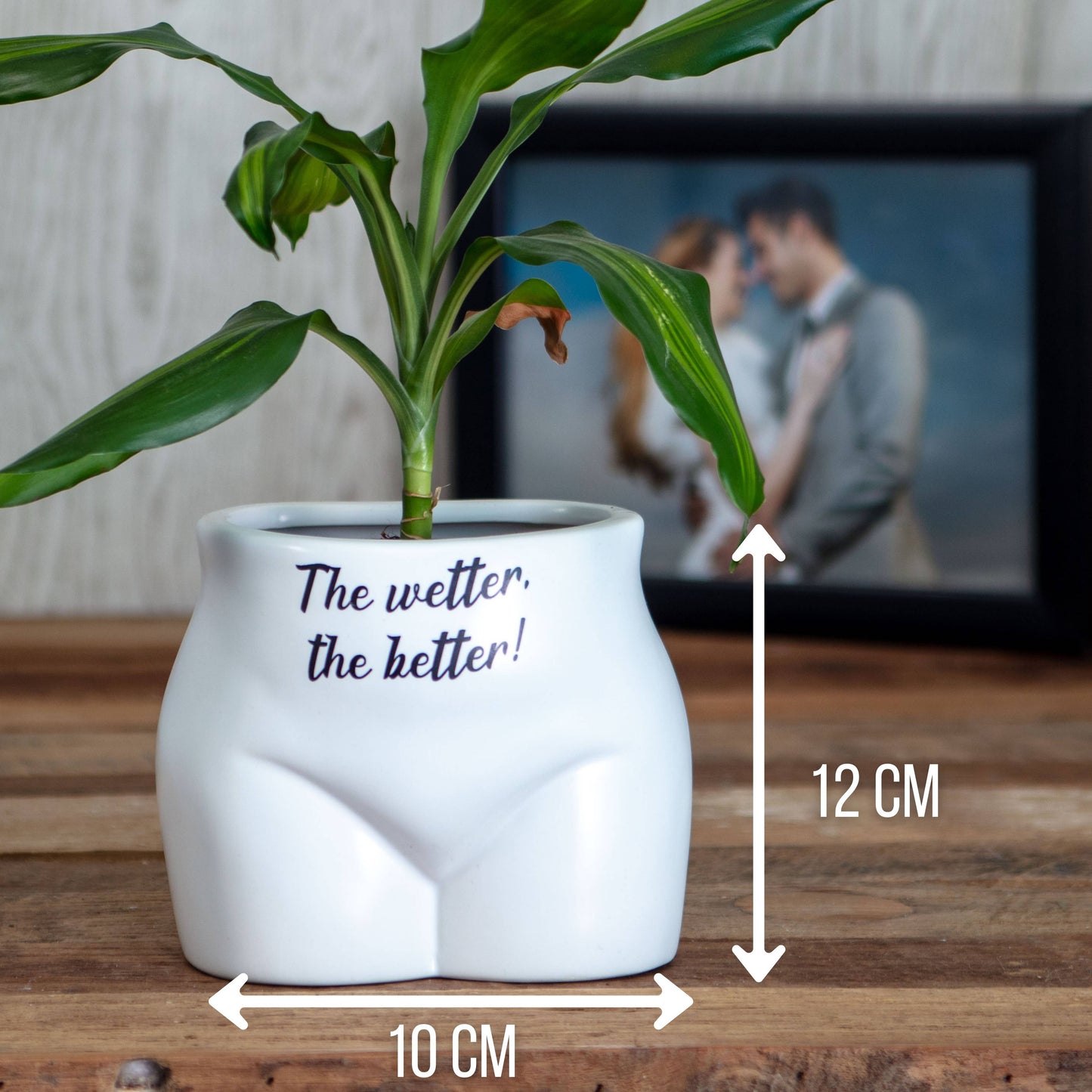 Put Some Plants On - The Wetter, The Better - Homeware Gifts