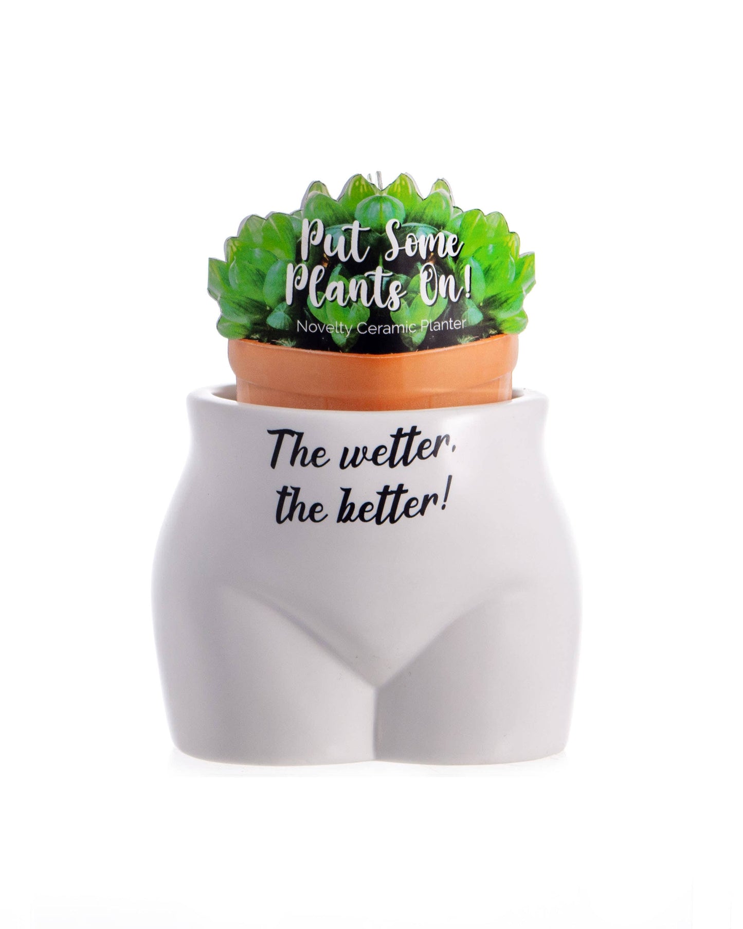 Put Some Plants On - The Wetter, The Better - Homeware Gifts