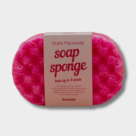 Outta This World Soap Sponge