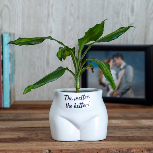 Put Some Plants On - The Wetter, The Better - Homeware Gifts