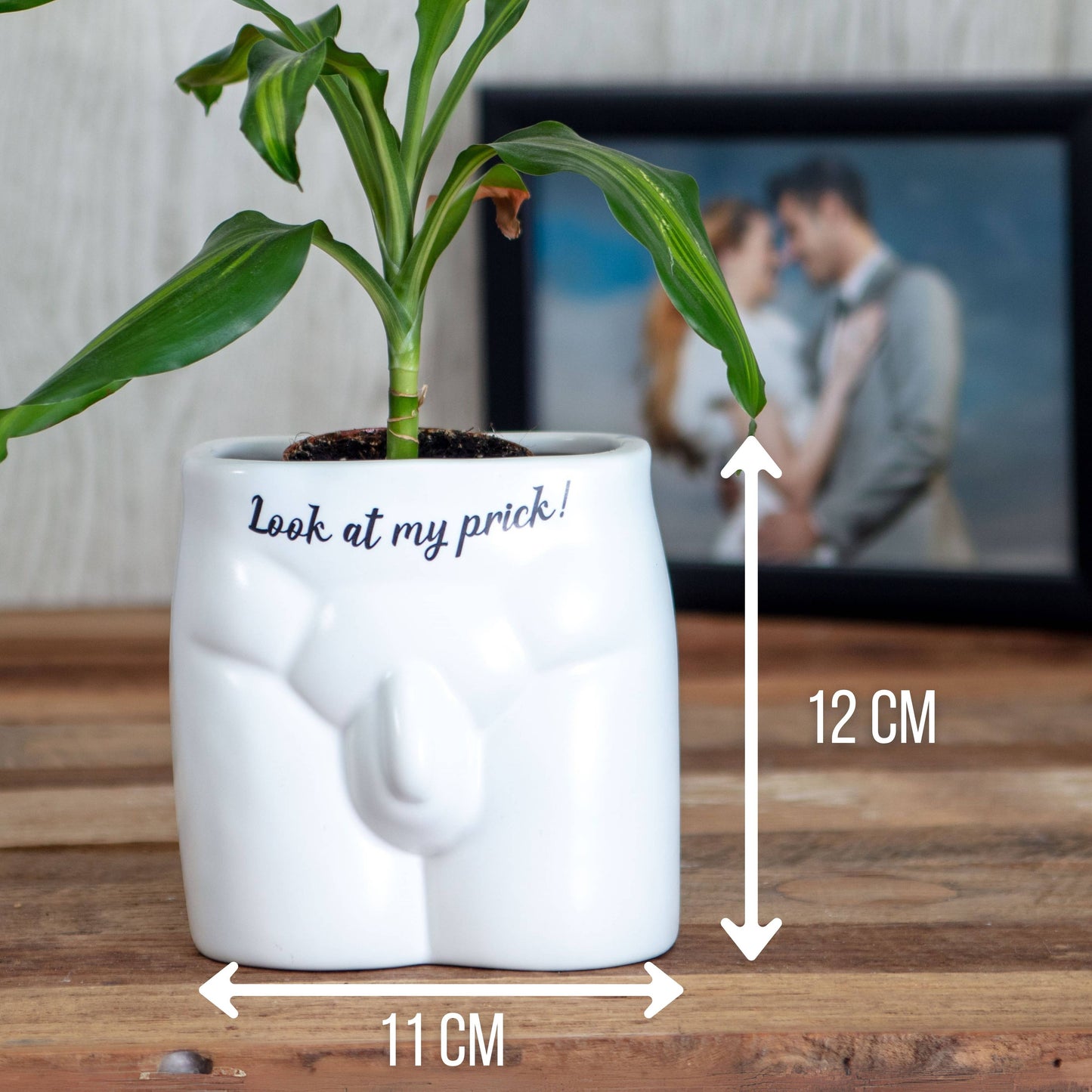 Put Some Plants On - Look At My Prick - Homeware Gifts