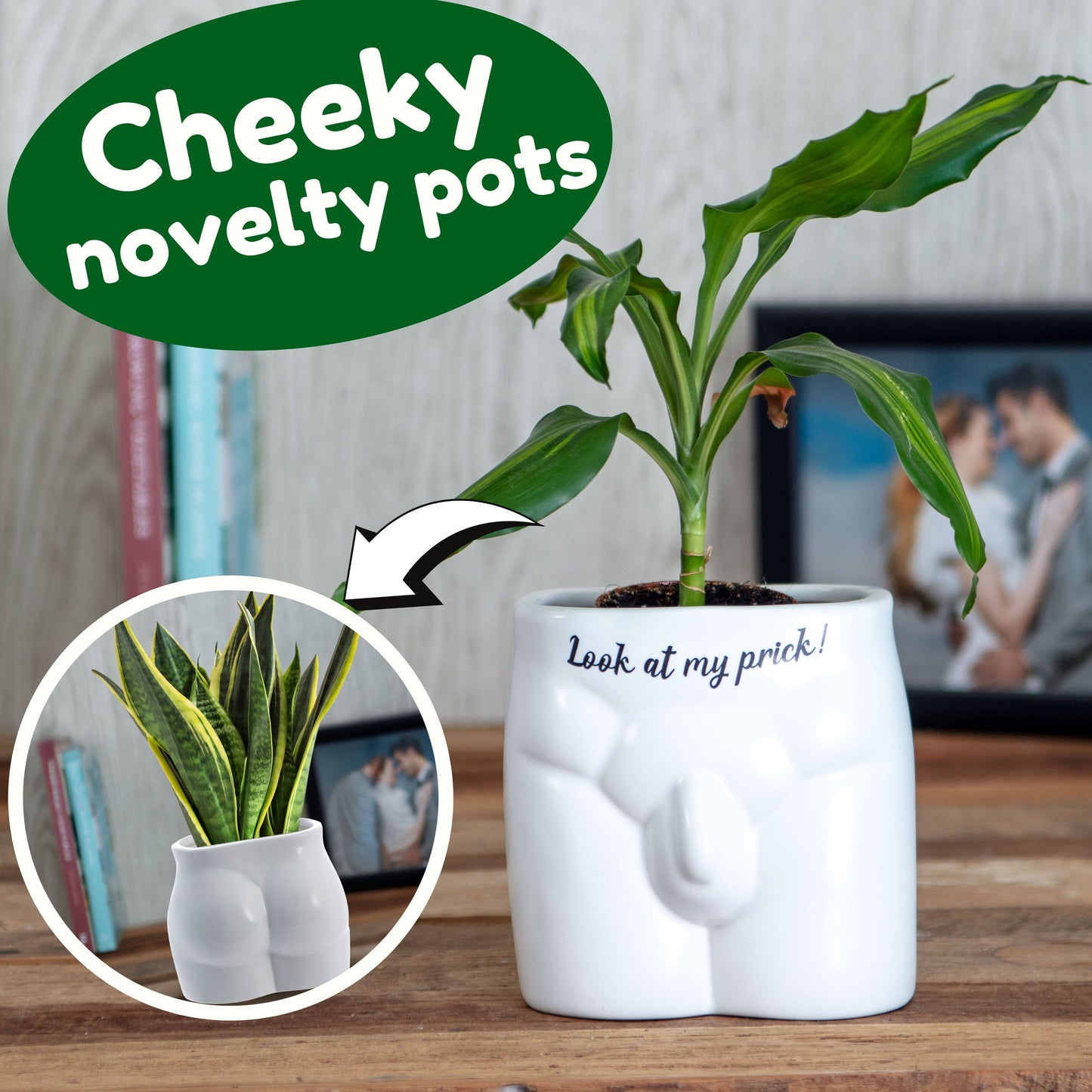 Put Some Plants On - Look At My Prick - Homeware Gifts