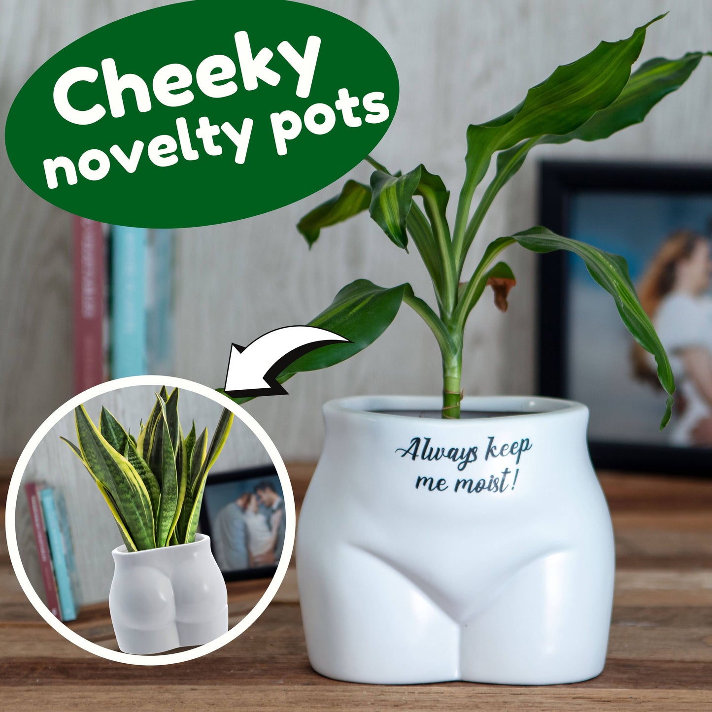 Put Some Plants On - Always Keep Me Moist
