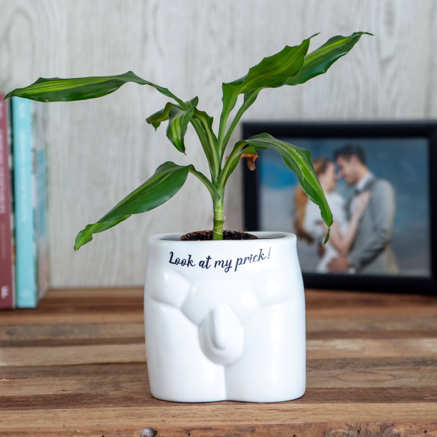 Put Some Plants On - Look At My Prick - Homeware Gifts