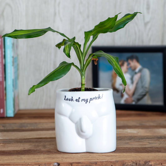 Put Some Plants On - Look At My Prick - Homeware Gifts